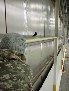 Монтаж сетчатого лотка Монтаж сетчатого лотка